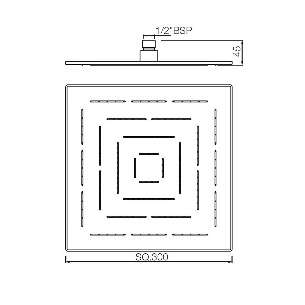 2D Image