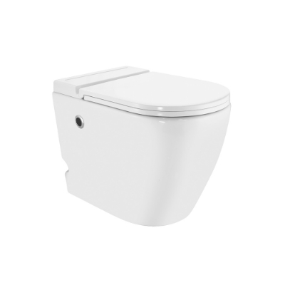 Immagine di Tankless Single Piece WC