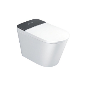 Immagine di WC Automatico Rimless a Pavimento