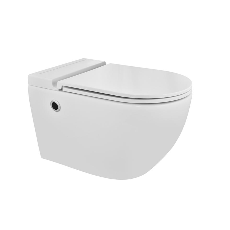 Picture of WC a terra 